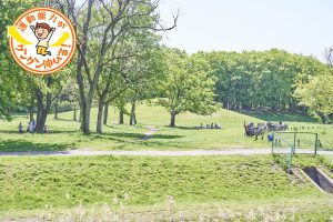 野川沿いにある武蔵野公園(府中市)で自然のレジャーを楽しもう