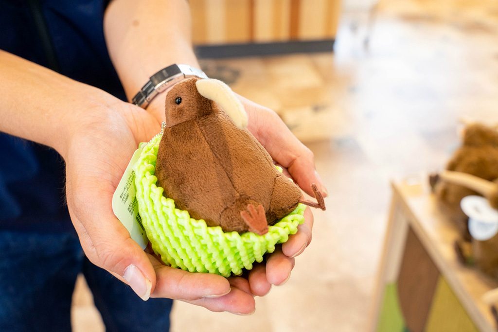 キーウィのミニマスコット/天王寺動物園(大阪府/大阪市)