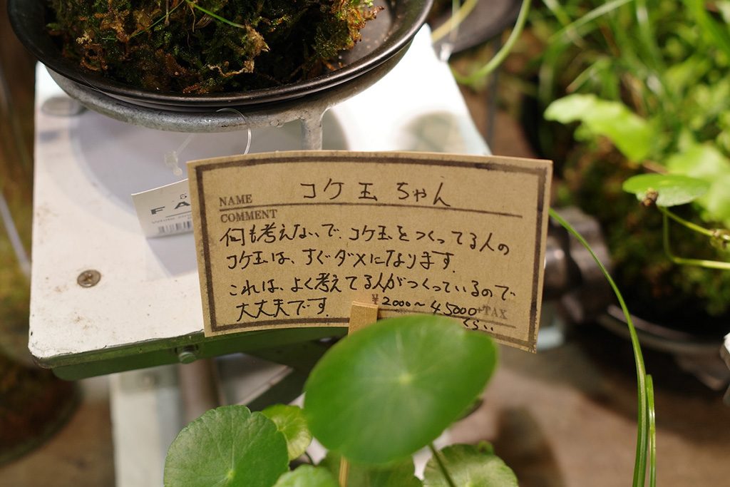植物に添えられたPOP