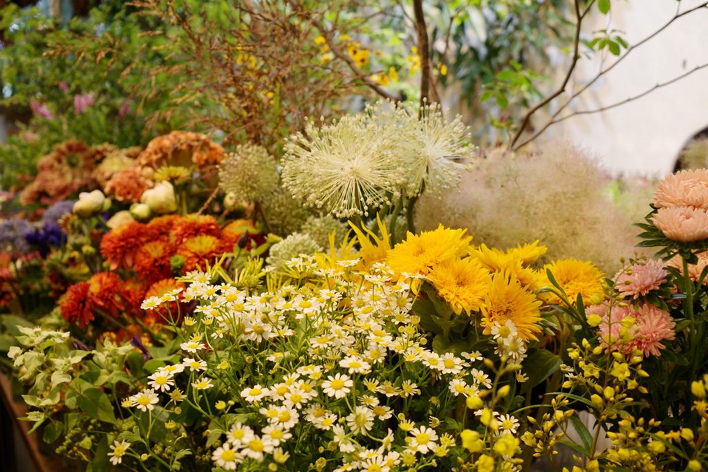 LUFF(ラフ)店内の花