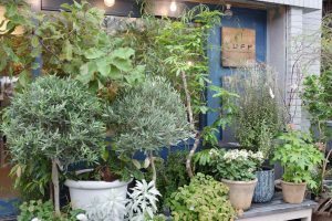 子どもに人気のお仕事に注目！｜お花屋さん（LUFF上村さん）＜お仕事編＞