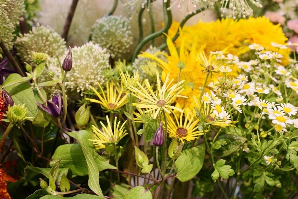 花屋│LUFF（ラフ）　店内の花々