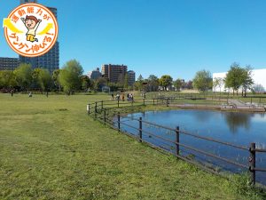 トンボの生育地も!尾久の原公園(荒川区)で昆虫観察を楽しもう