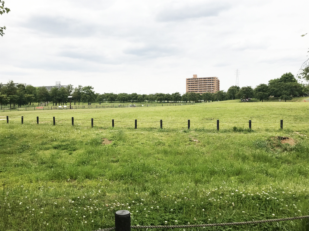 「芝生のはらっぱ」/尾久の原公園(東京都/荒川区)