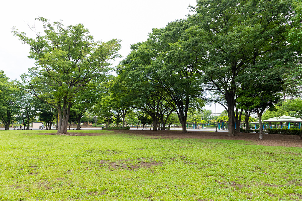 「ファミリー広場」/新小岩公園(東京都/葛飾区)