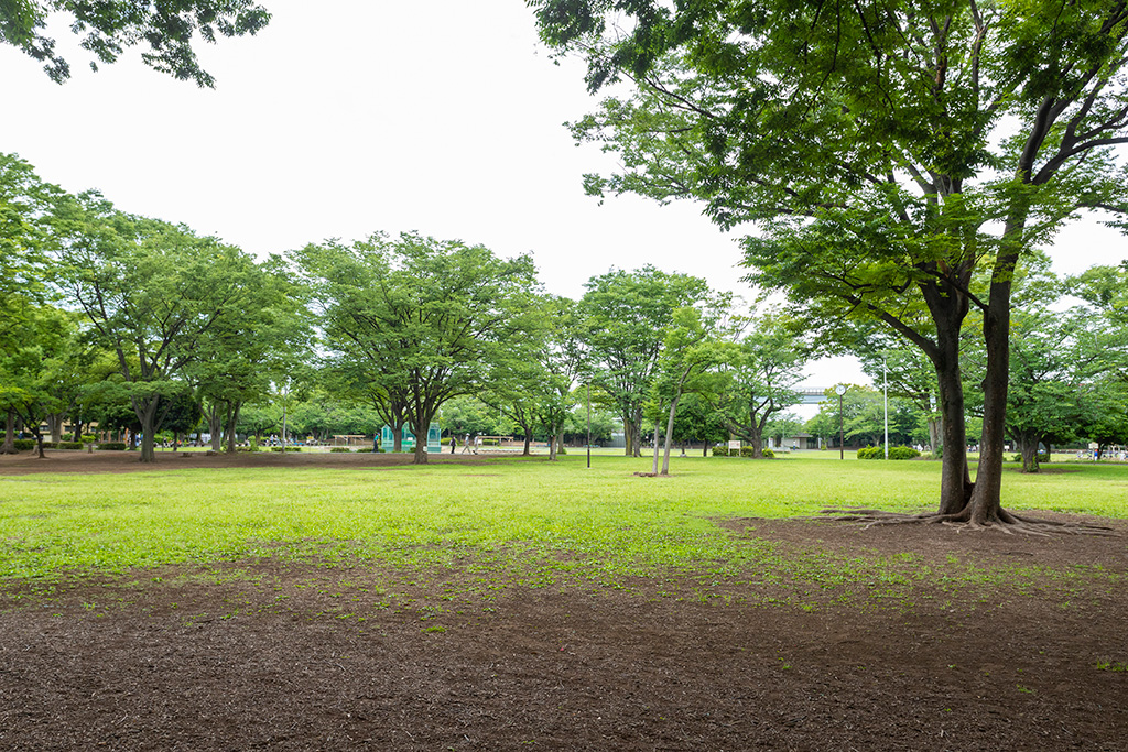 「ファミリー広場」/新小岩公園(東京都/葛飾区)