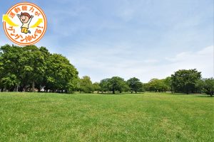 篠崎公園(江戸川区)の広大な敷地には、3つの遊具広場が点在!