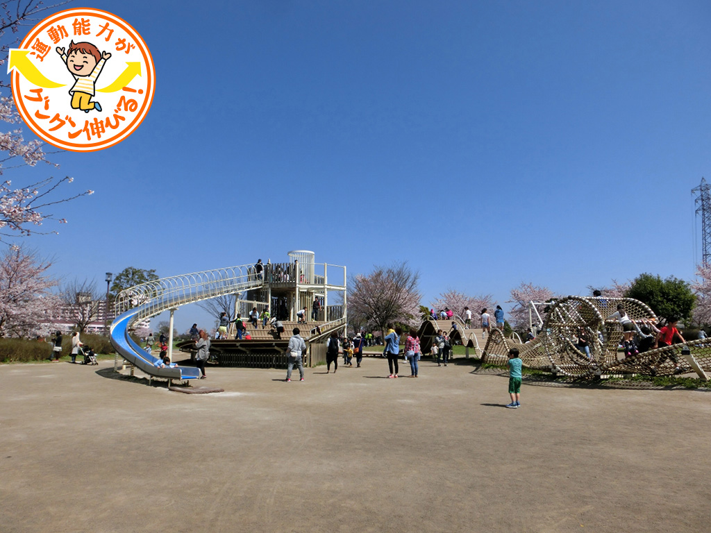 大型アスレチック遊具でダイナミックな遊びが楽しめる大島小松川公園（江東区）