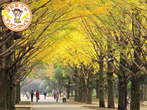 光が丘公園(練馬区・板橋区)は6万㎡の芝生広場や多彩な遊具、バーベキュー広場などが揃う、1日遊べる公園