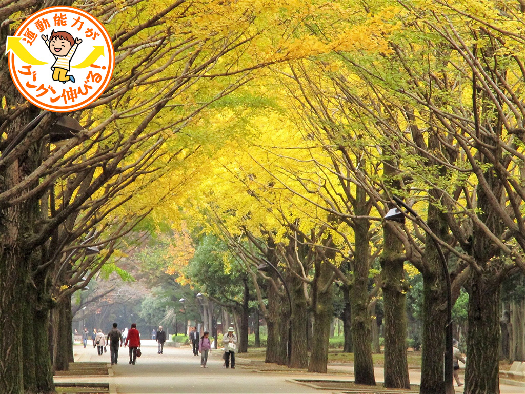 光が丘公園（練馬区・板橋区）は6万㎡の芝生広場や多彩な遊具、バーベキュー広場などが揃う、1日遊べる公園