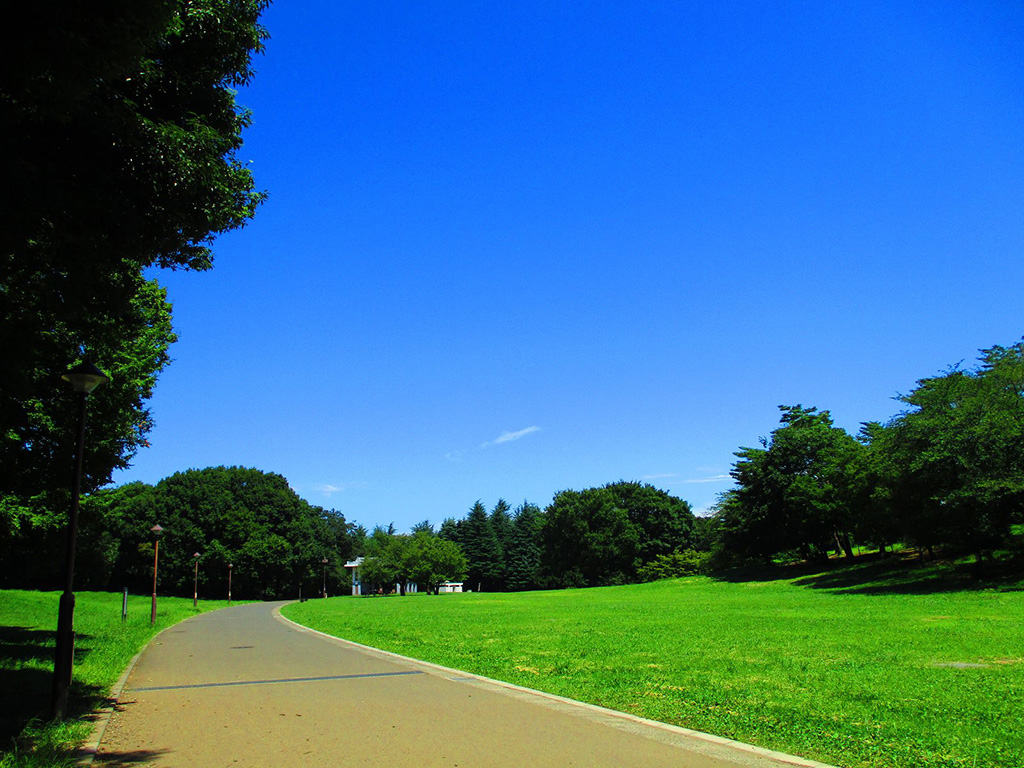 「芝生広場」/光が丘公園(東京都/板橋区)