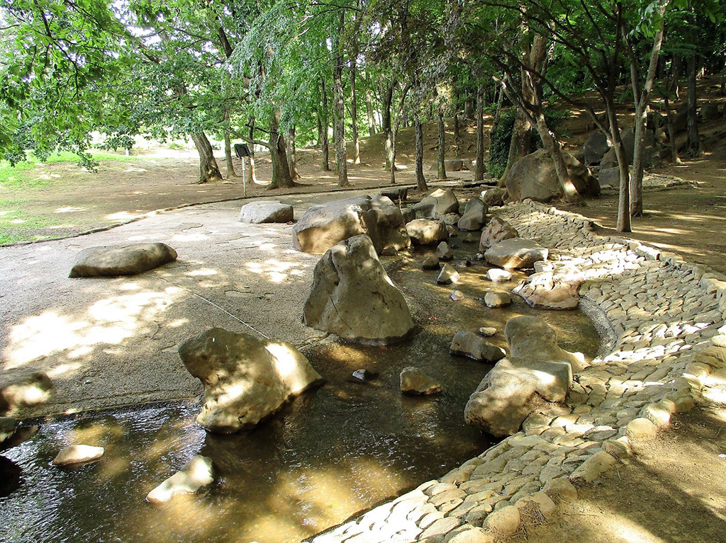 「芝生広場」/光が丘公園(東京都/板橋区)