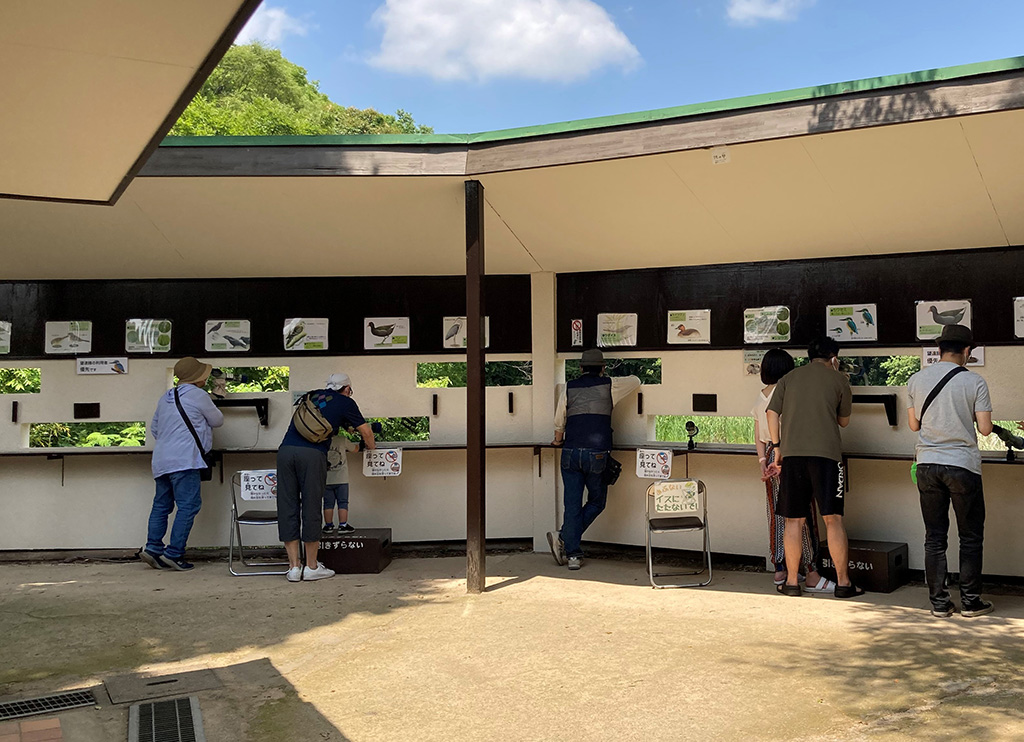 「バードサンクチュアリ」/光が丘公園(東京都/板橋区)