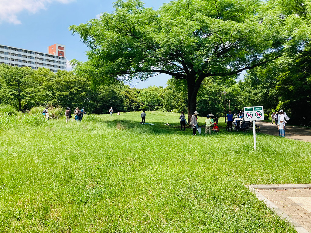 「昆虫原っぱ」/光が丘公園(東京都/板橋区)