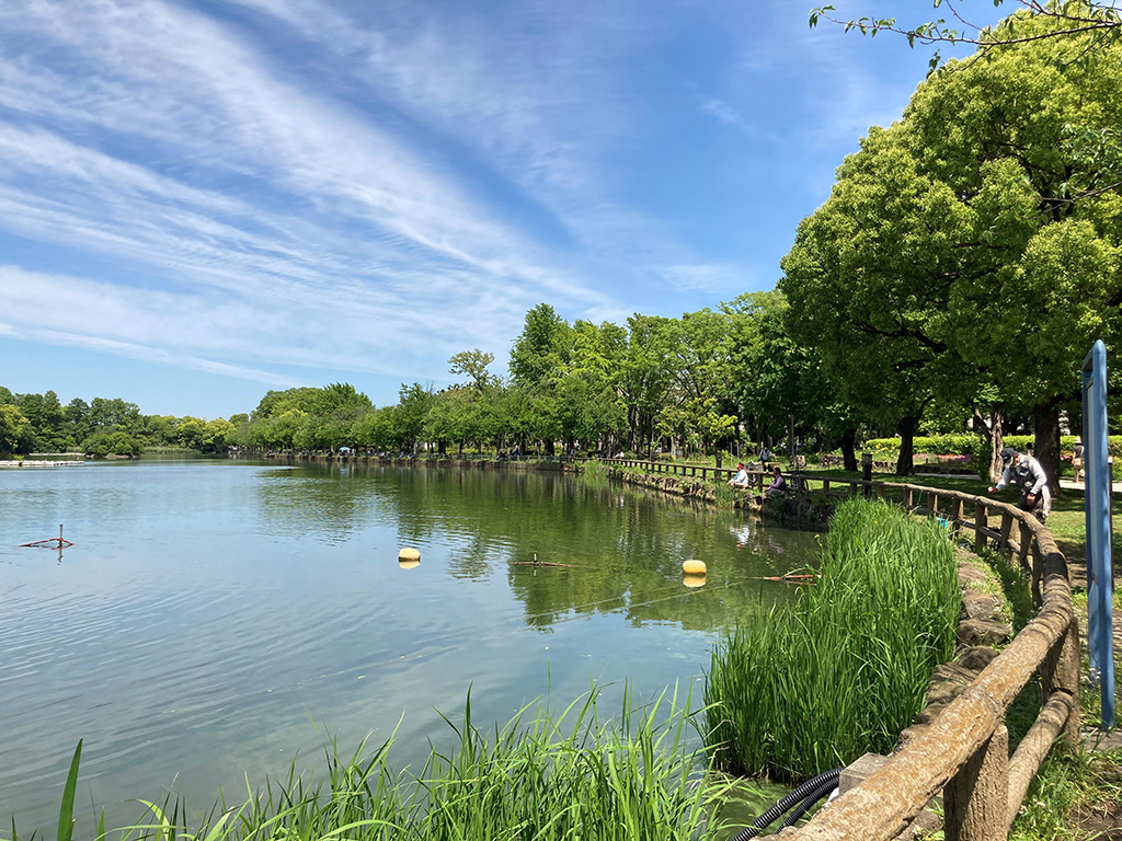 「池」/浮間公園(東京都/板橋区)