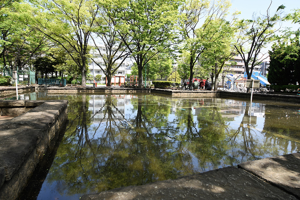 「池」／萩中公園（東京都／大田区）