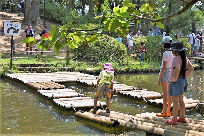 「いかだわたり」／平和の森公園フィールドアスレチック（東京都／大田区）