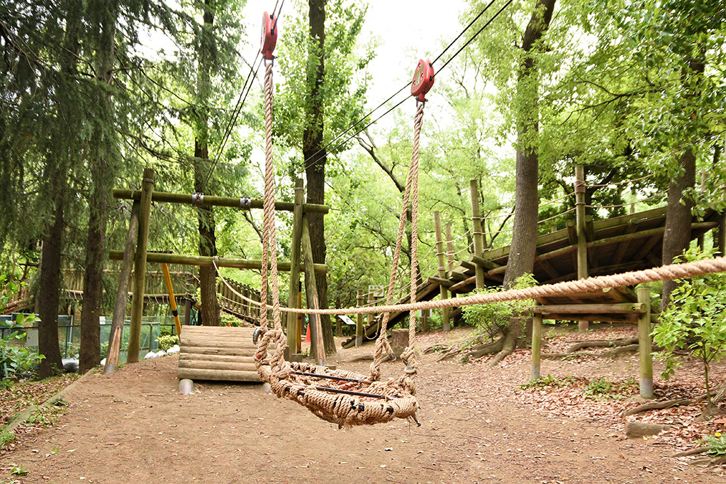 「カゴわたし」／平和の森公園フィールドアスレチック（東京都／大田区）