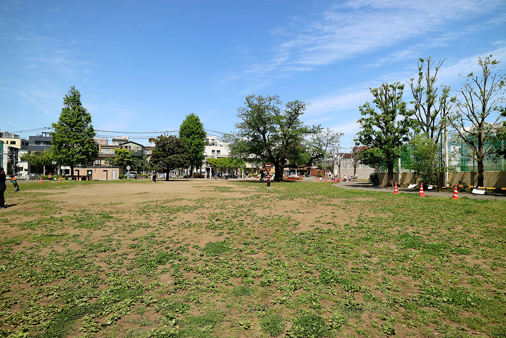 「芝生の広場」／南谷端公園（東京都／北区）
