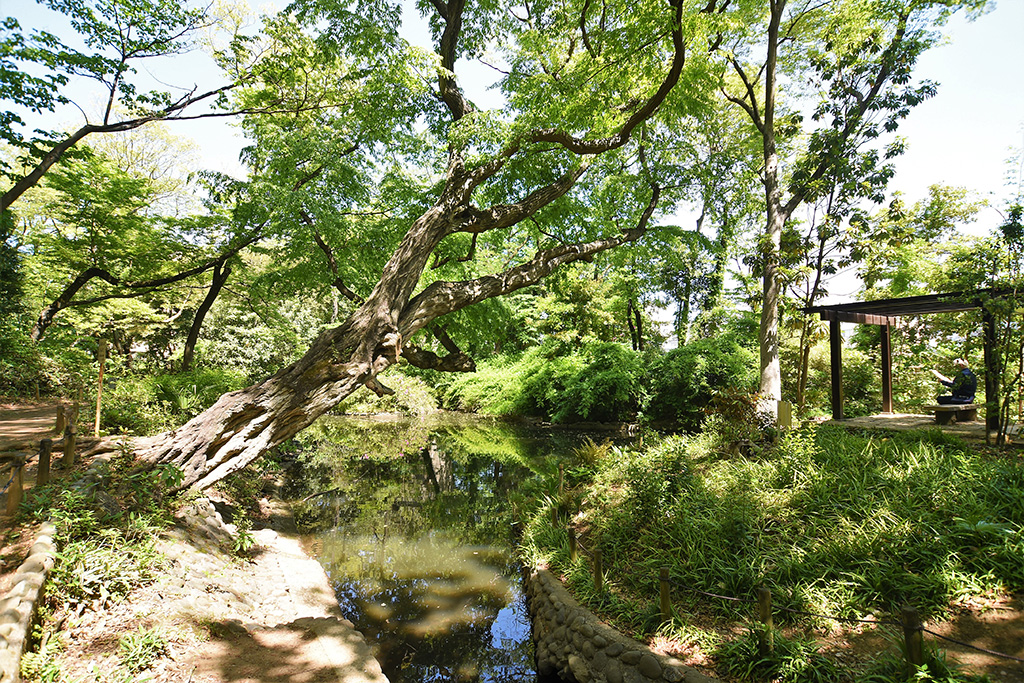 「占春園」／教育の森公園（東京都／文京区）