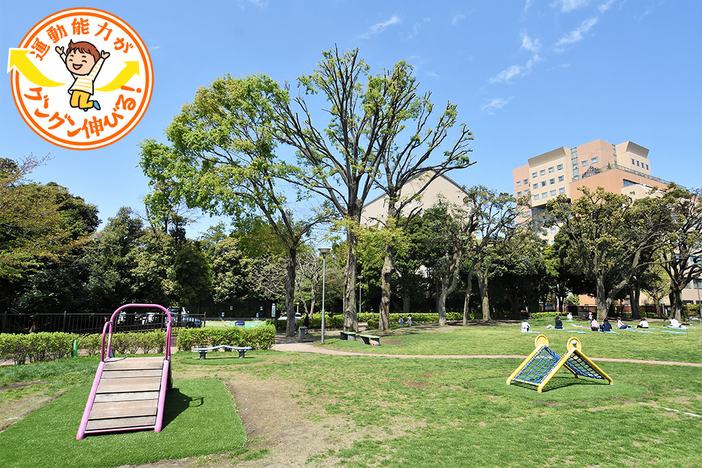 目白台運動公園（文京区）は噴水が爽やかな芝生広場でのんびり過ごして！