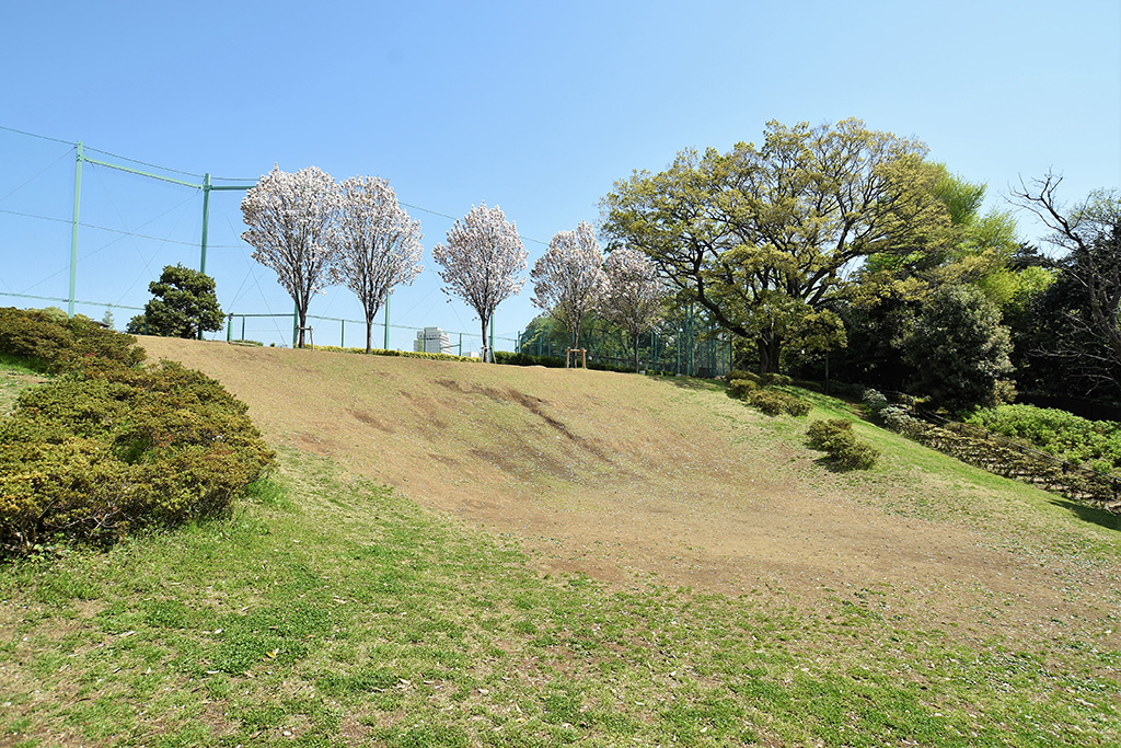 「斜面地広場」/目白台運動公園(東京都/文京区)