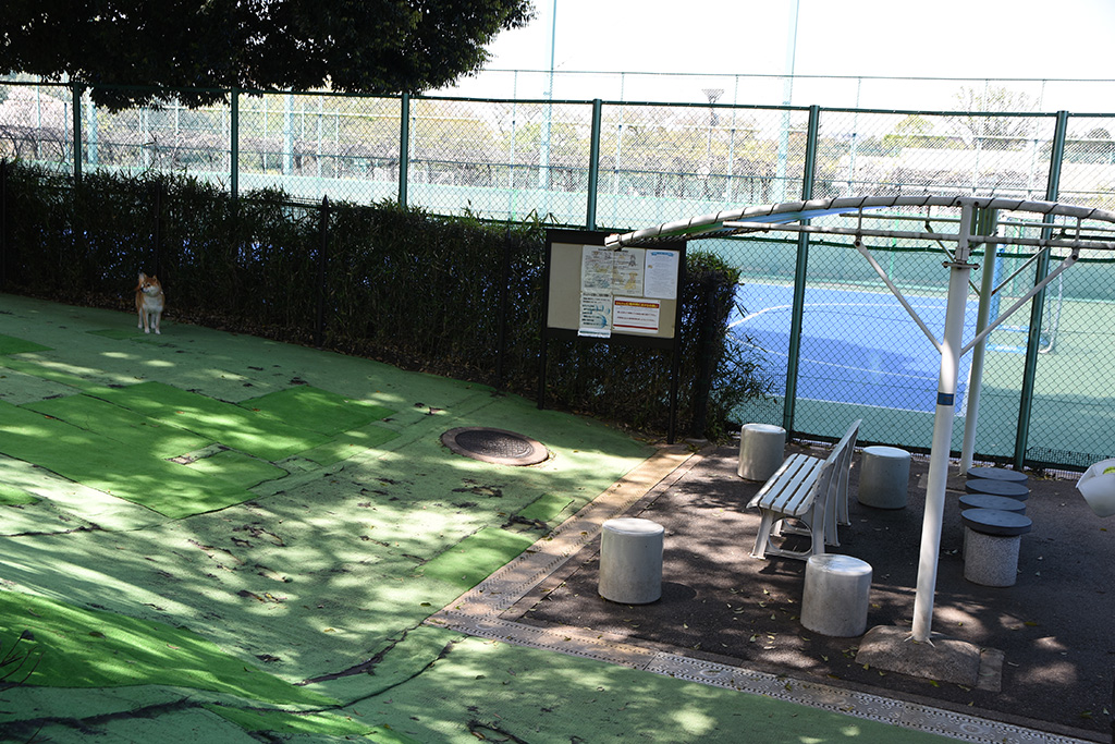「わんわん広場」/目白台運動公園(東京都/文京区)
