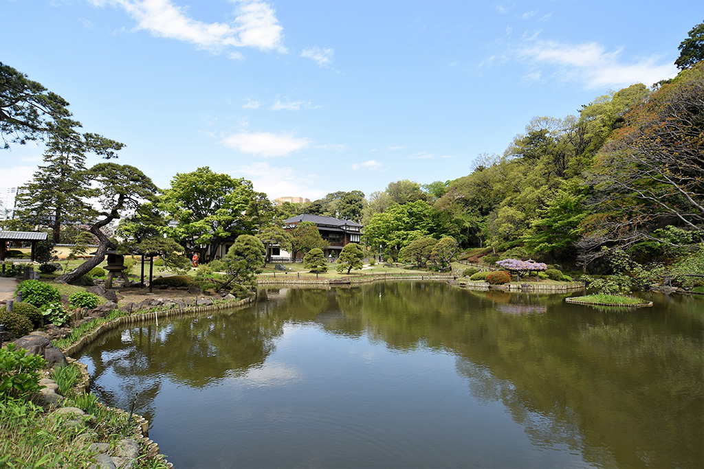 「肥後細川庭園」/目白台運動公園(東京都/文京区)