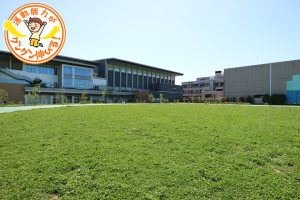 平和の森公園はアスレチック遊具や草地広場が魅力！じゃぶじゃぶ池も