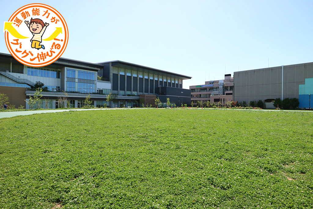 平和の森公園（中野区）は、超巨大滑り台や草地広場のお散歩が楽しい！