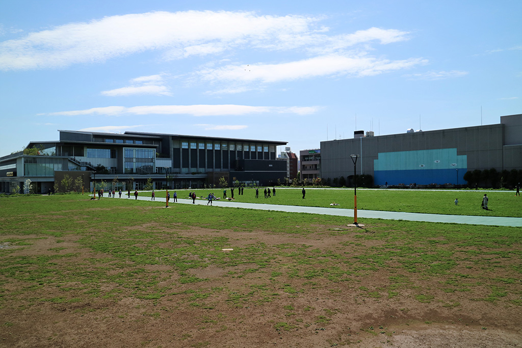 「草地広場」／平和の森公園（東京都／中野区）