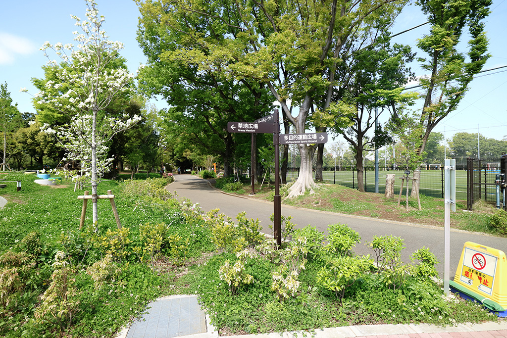 「ジョギング、ウオーキングコース」／平和の森公園（東京都／中野区）