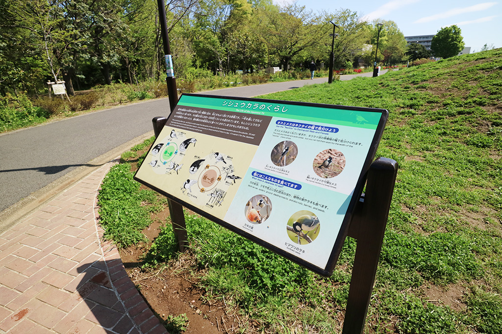 「自然にまつわるパネル」／平和の森公園（東京都／中野区）