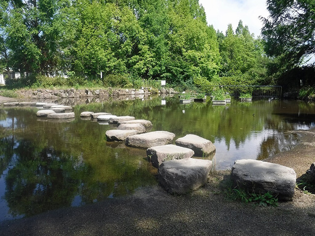ジャブジャブ小川/草津市ロクハ公園(滋賀県/草津市)