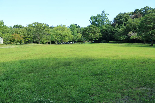 多目的広場/草津市ロクハ公園（滋賀県/草津市）