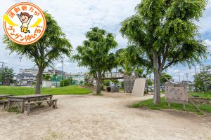 冒険心をくすぐる大型遊具あり!にいじゅくプレイパーク(葛飾区)