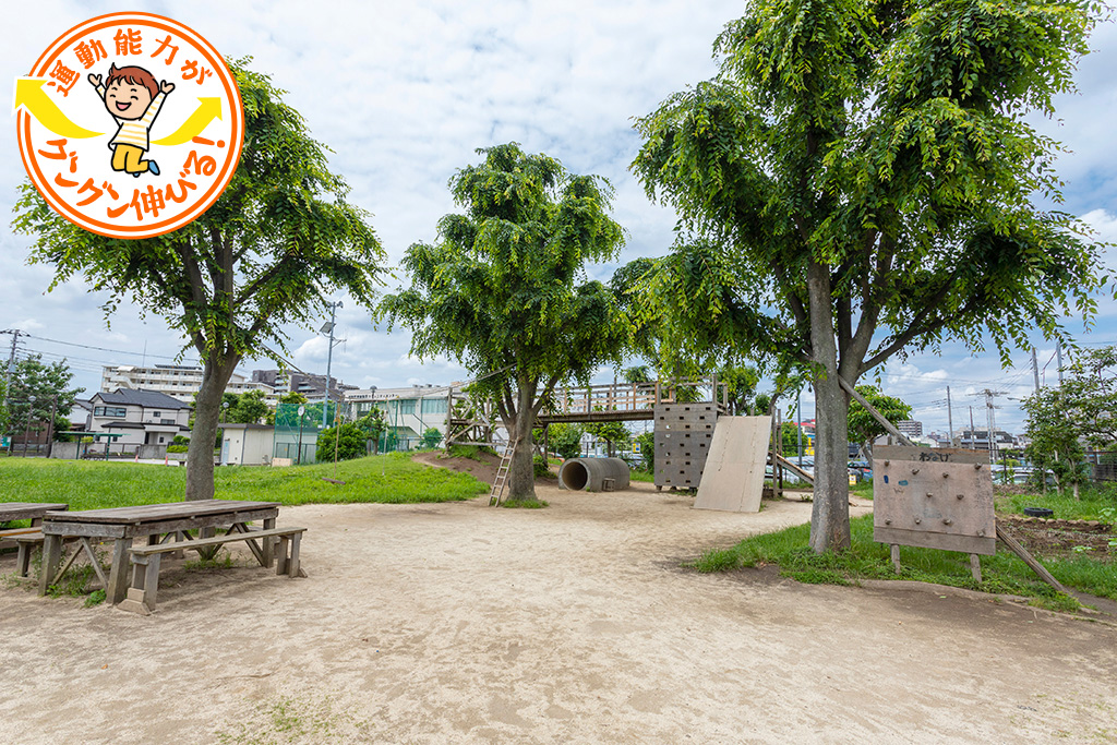 冒険心をくすぐる大型遊具あり！にいじゅくプレイパーク（葛飾区）