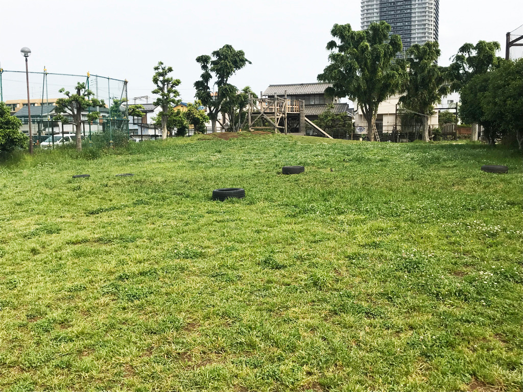 「原っぱ」/にいじゅくプレイパーク(東京都/葛飾区)
