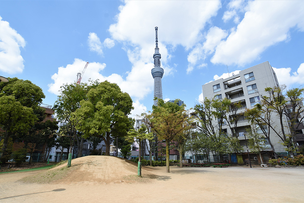 「広場」/わんぱく天国(東京都/墨田区)