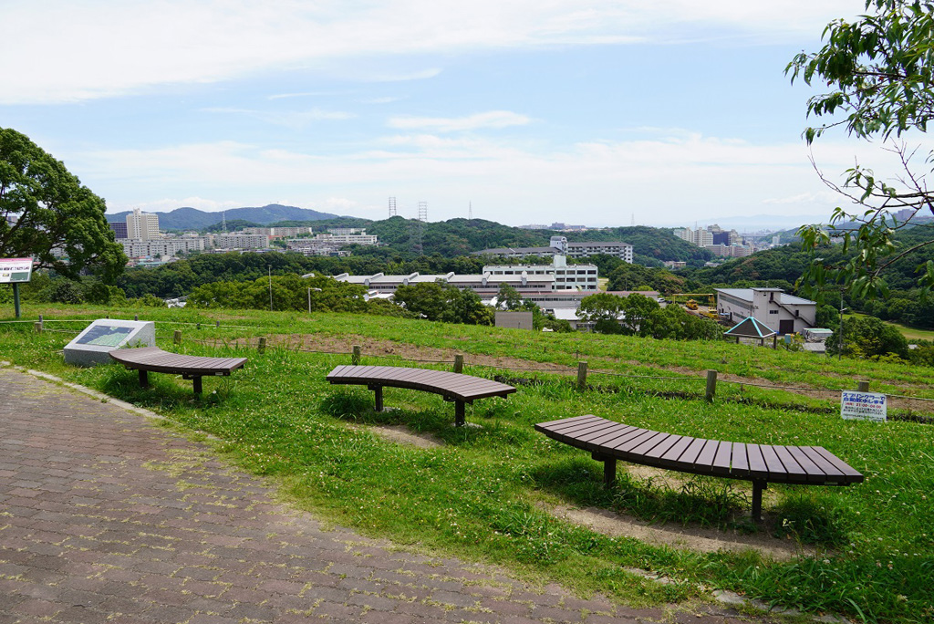 コスモスの丘/神戸総合運動公園(兵庫県/神戸市)