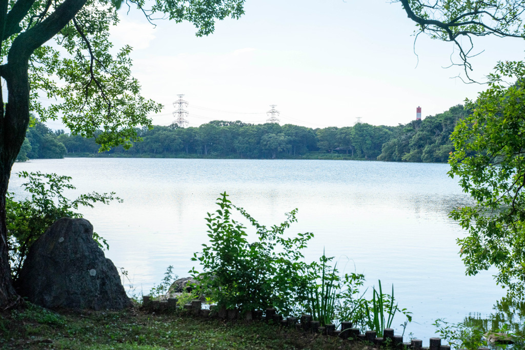 山田池/山田池公園（大阪府/枚方市）
