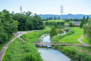 山田池公園（枚方市）の水遊び、遊具など遊び方レポ！バーベキュー場やピクニックも