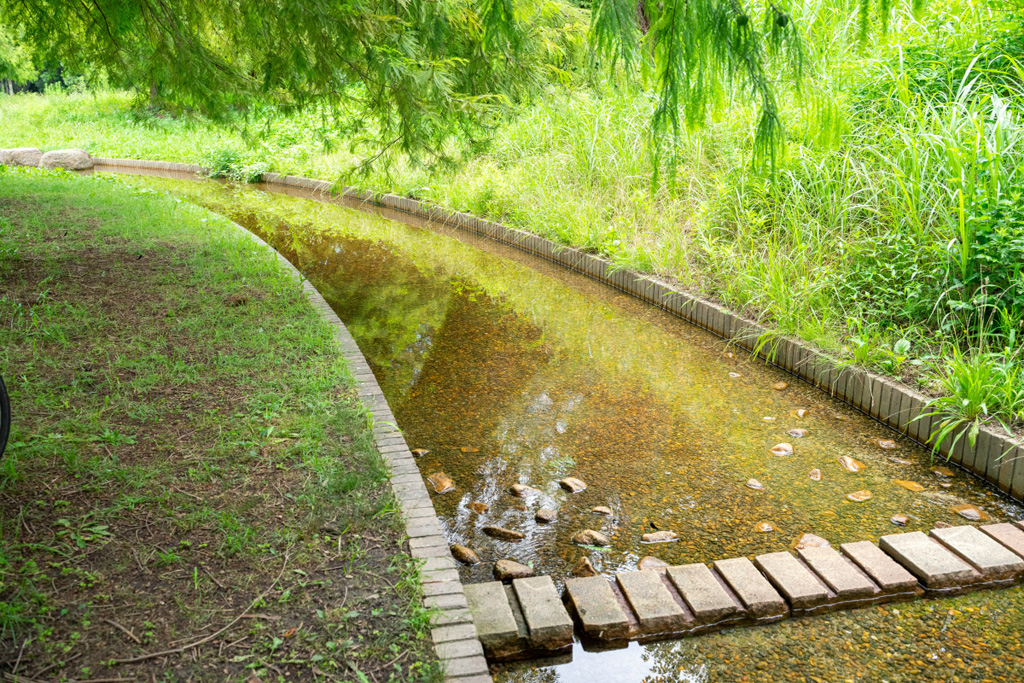 公園の南側に位置する「流れ」/山田池公園(大阪府/枚方市)