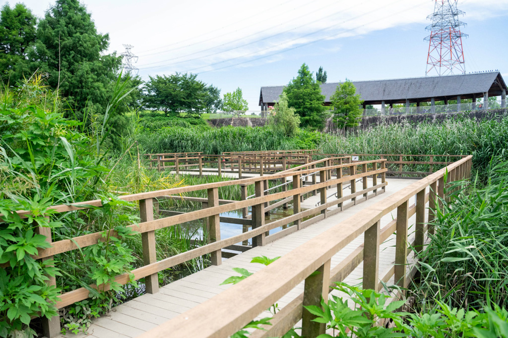 「池せせらぎ」/山田池公園(大阪府/枚方市)