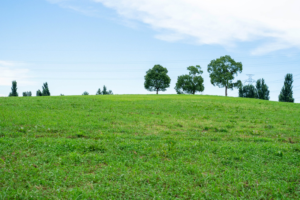 展望広場/山田池公園（大阪府/枚方市）