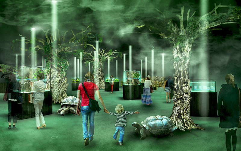 霧が立ち込める樹海の森「EREMENTS-精霊の森」/átoa(アトア)(兵庫県/神戸市)