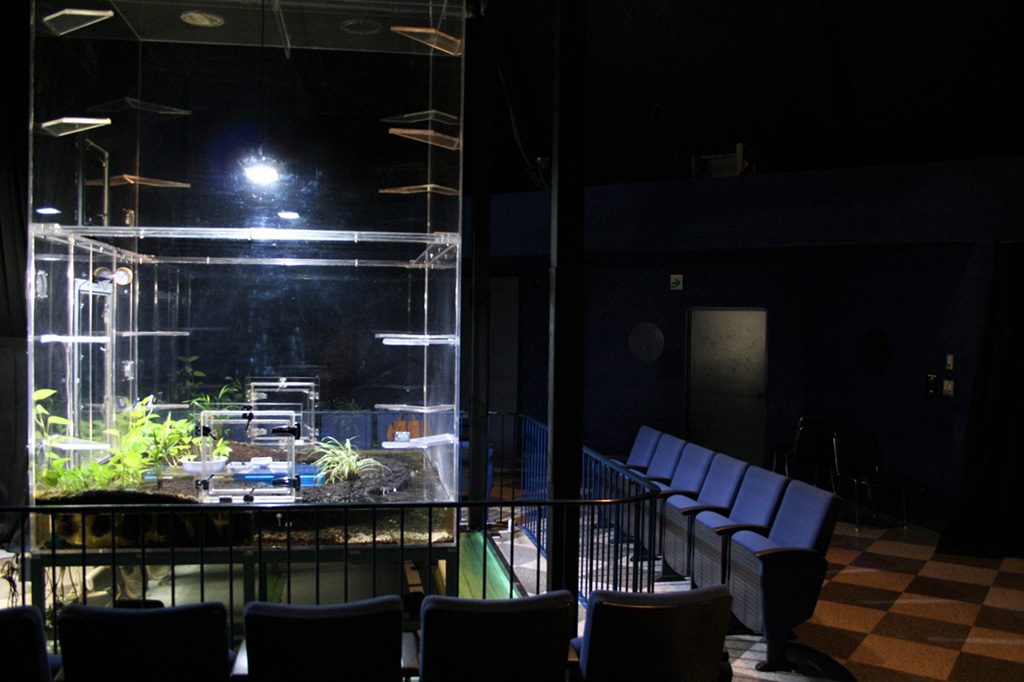 東武動物公園の「ほたリウム」館内