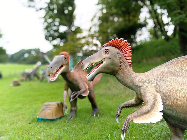 東京ドイツ村(千葉県/袖ケ浦市)