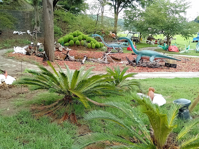 太古を思わす原生林/東京ドイツ村(千葉県/袖ケ浦市)