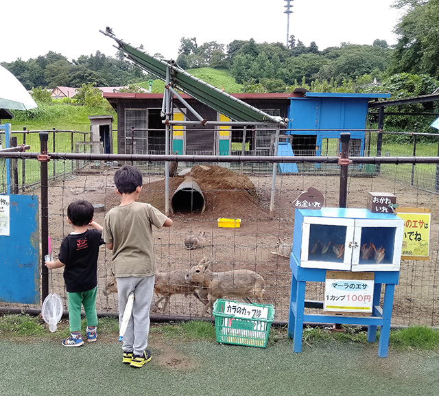 「こども動物園」/東京ドイツ村(千葉県/袖ケ浦市)